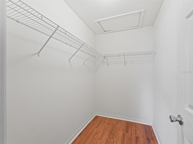 2369 Five Forks Trl, The Villages, FL 32162 - walk in closet with light wood-type flooring and attic access