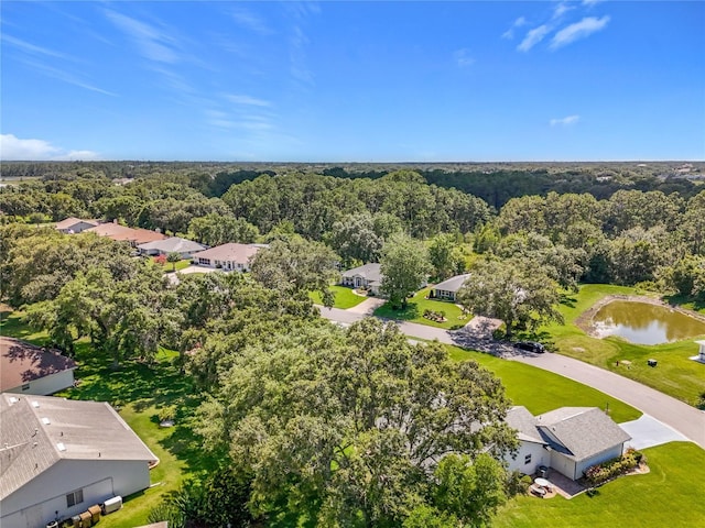 27141 Racquet Cir, Leesburg, FL 34748 - aerial perspective of suburban area with a large body of water and a heavily wooded area