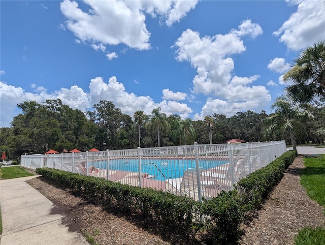 27141 Racquet Cir, Leesburg, FL 34748 - view of community pool