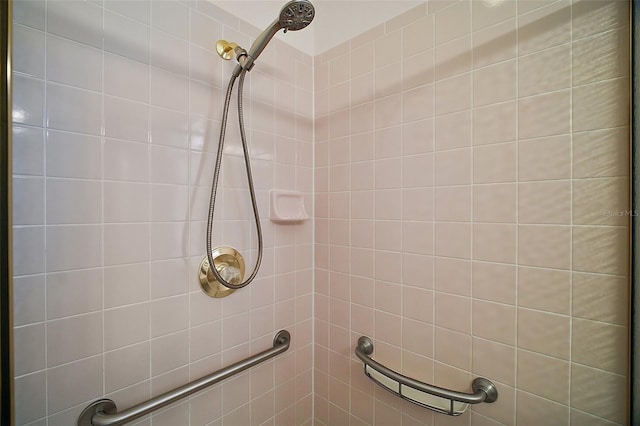 1007 Diego Ct, The Villages, FL 32159 - bathroom featuring tiled shower