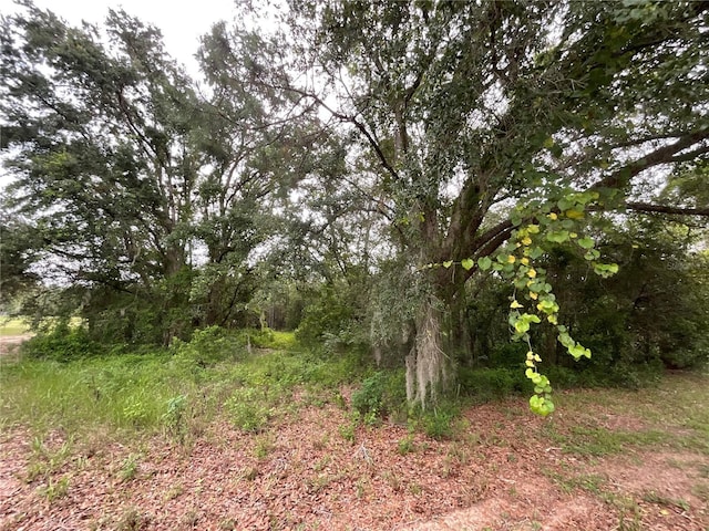 Howey Cross Rd, Clermont, FL 34715