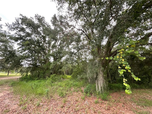 Howey Cross Rd, Clermont, FL 34715