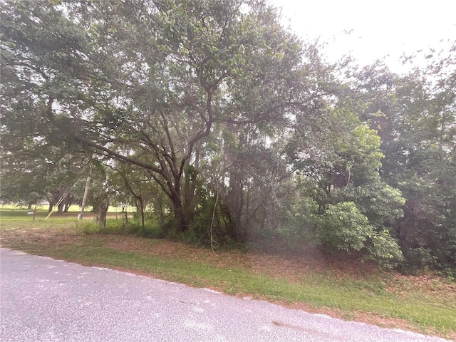 Howey Cross Rd, Clermont, FL 34715