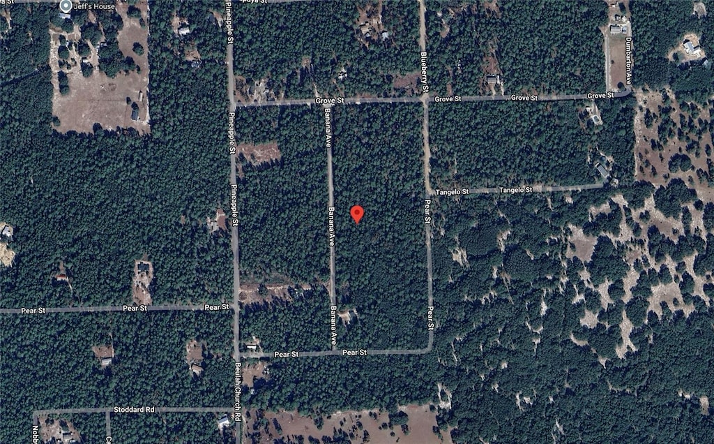 118 Banana Ave, Pomona Park, FL 32181 - photo 1
