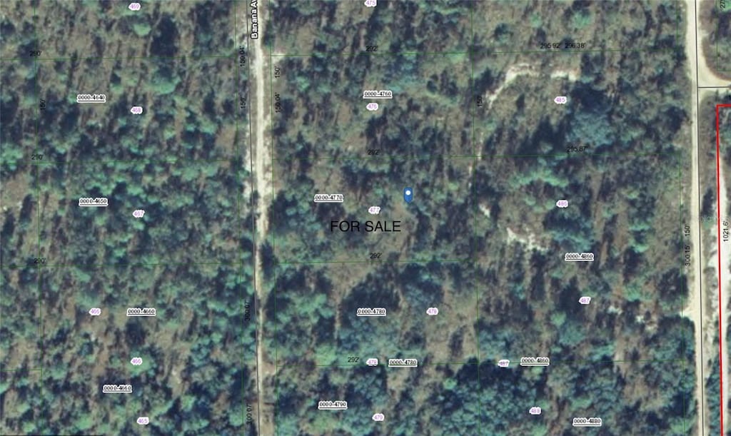 118 Banana Ave, Pomona Park, FL 32181 - photo 2