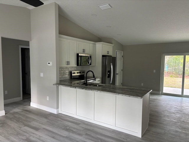 6769 N Waterman Dr, Dunnellon, FL 34433 - kitchen with appliances with stainless steel finishes, vaulted ceiling, dark stone counters, light wood-style flooring, and a peninsula