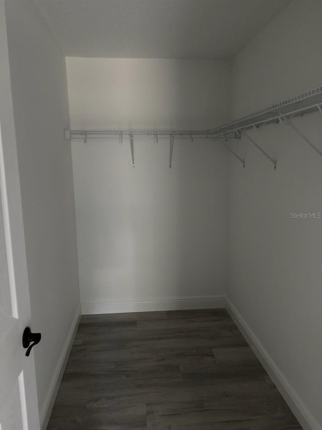 6769 N Waterman Dr, Dunnellon, FL 34433 - walk in closet featuring dark wood finished floors