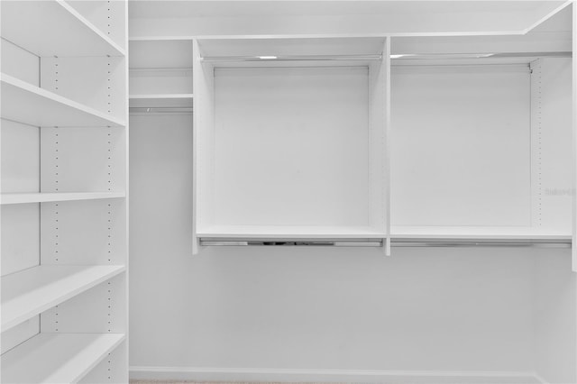 6949 Minchew Cir, The Villages, FL 34762 - view of walk in closet