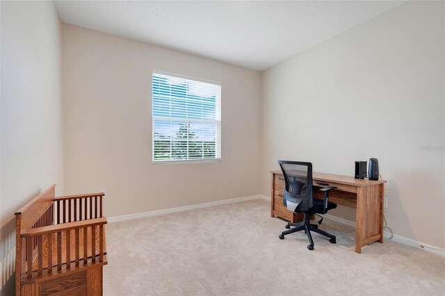 13797 Wineberry Dr, Dade City, FL 33525 - photo 34