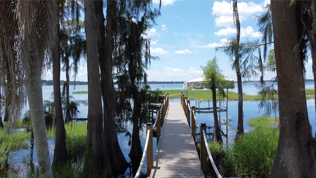 11401 Cypress Dr, Clermont, FL 34711 - dock area with boat lift and a water view