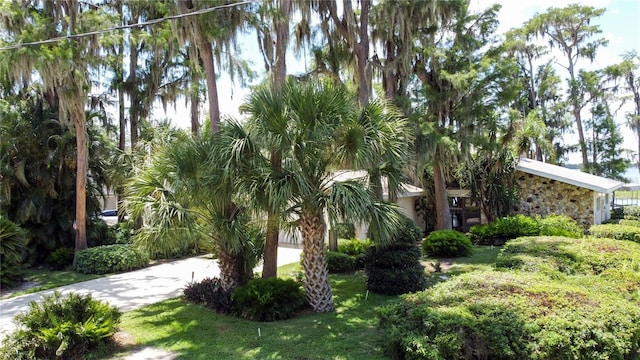 11401 Cypress Dr, Clermont, FL 34711 - view of side of home with stone siding, concrete driveway, and a yard