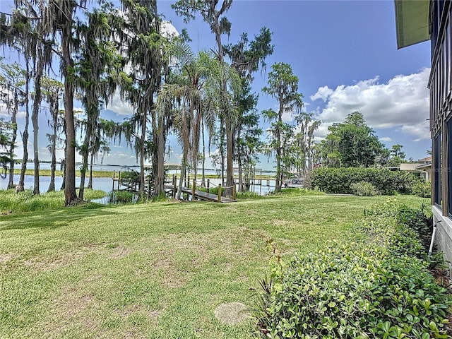 11401 Cypress Dr, Clermont, FL 34711 - view of green lawn with a water view