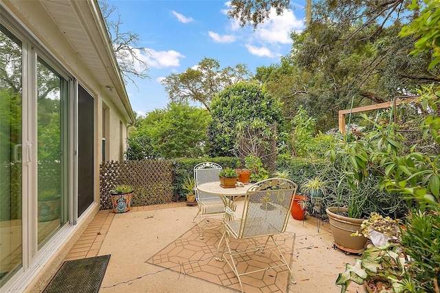 1002 Amarillo Pl, The Villages, FL 32159 - view of patio
