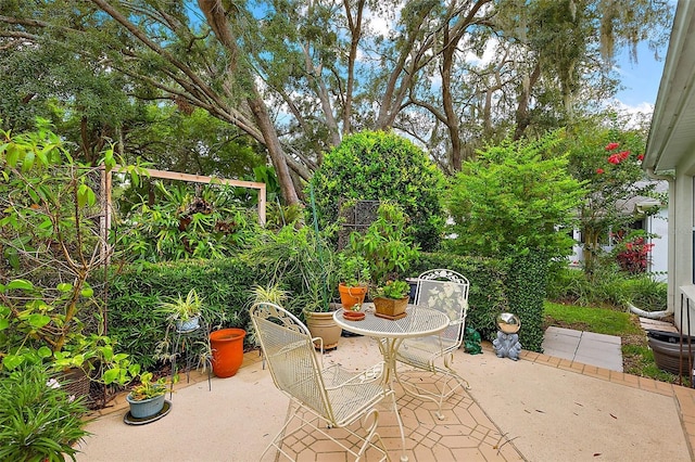 1002 Amarillo Pl, The Villages, FL 32159 - view of patio
