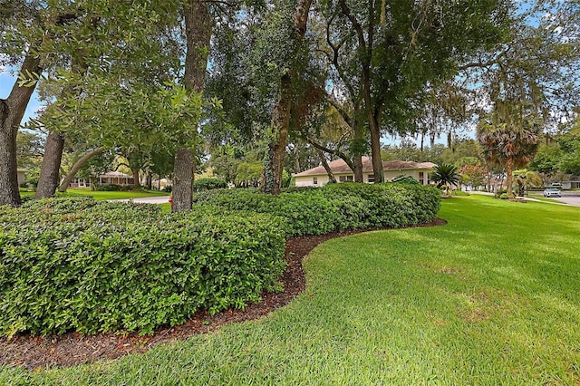 1002 Amarillo Pl, The Villages, FL 32159 - view of grassy yard