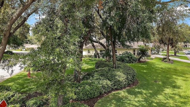 1002 Amarillo Pl, The Villages, FL 32159 - view of green lawn