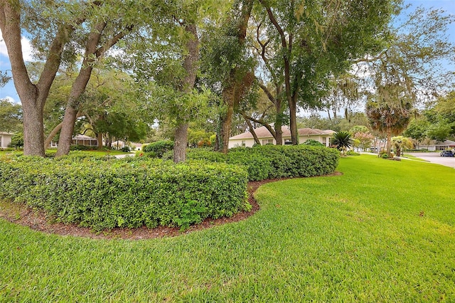 1002 Amarillo Pl, The Villages, FL 32159 - view of grassy yard