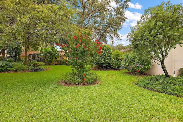 1002 Amarillo Pl, The Villages, FL 32159 - view of green lawn