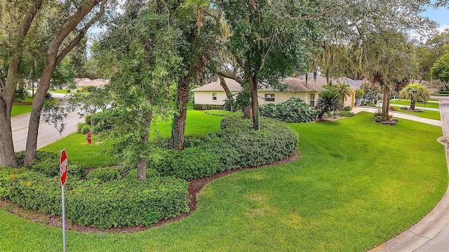 1002 Amarillo Pl, The Villages, FL 32159 - view of grassy yard featuring driveway