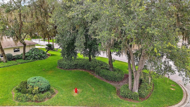 1002 Amarillo Pl, The Villages, FL 32159 - view of grassy yard