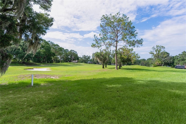 view of grassy yard with view of golf course and view of scattered trees