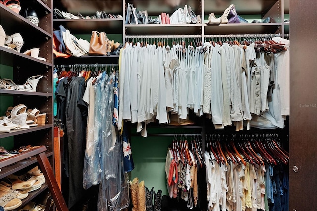 view of spacious closet