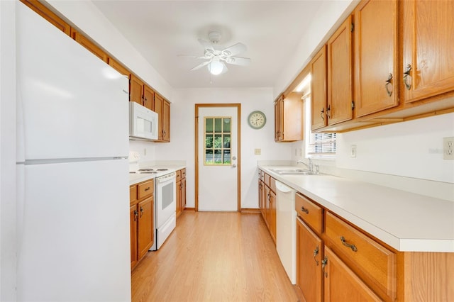1467 Disston Ave, Clermont, FL 34711 - kitchen with white appliances, a ceiling fan, light wood-type flooring, light countertops, and brown cabinets