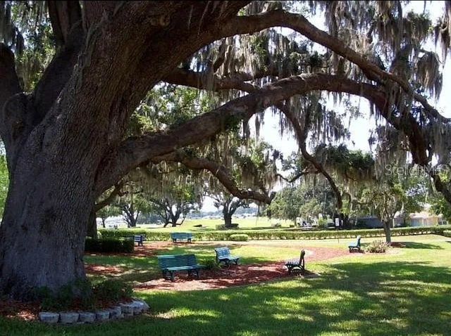 12183 SE 178th St, Summerfield, FL 34491 - view of home's community featuring a yard