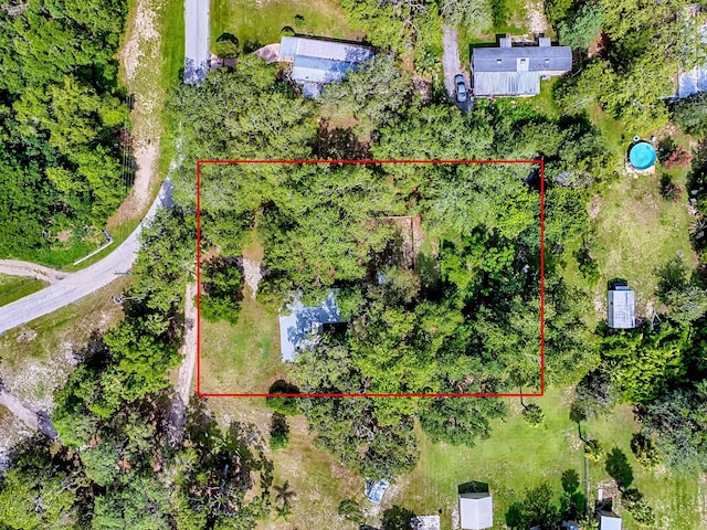 6731 Lake Griffin Rd, Lady Lake, FL 32159 - aerial overview of property's location with property boundaries highlighted