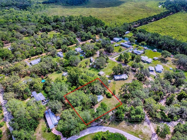 6731 Lake Griffin Rd, Lady Lake, FL 32159 - aerial overview of property's location with property boundaries highlighted