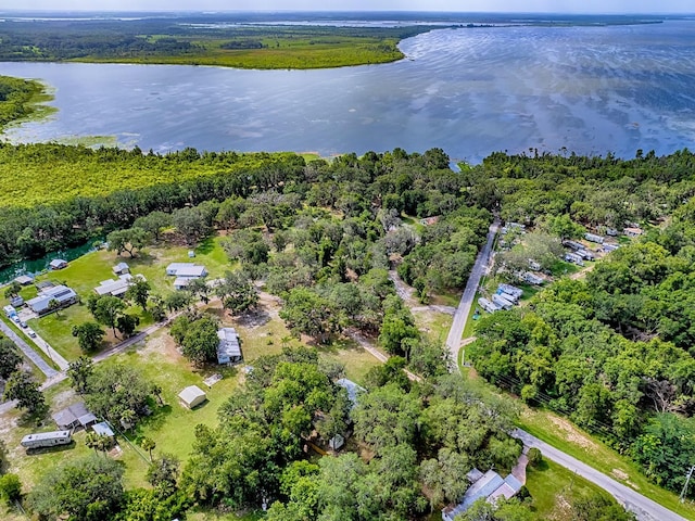 6731 Lake Griffin Rd, Lady Lake, FL 32159 - aerial view of property's location with a nearby body of water