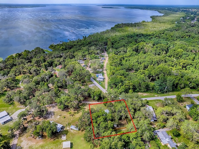 6731 Lake Griffin Rd, Lady Lake, FL 32159 - view of property location featuring a large body of water and property parcel outlined