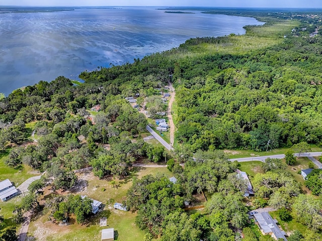 6731 Lake Griffin Rd, Lady Lake, FL 32159 - aerial overview of property's location with a forest and a nearby body of water