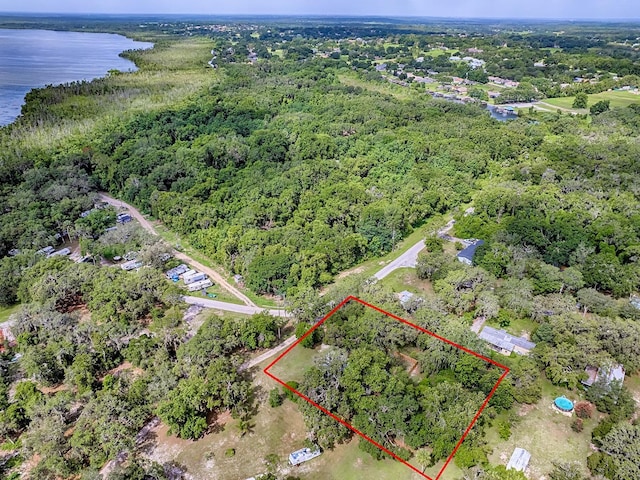 6731 Lake Griffin Rd, Lady Lake, FL 32159 - view of property location featuring a nearby body of water and property parcel outlined