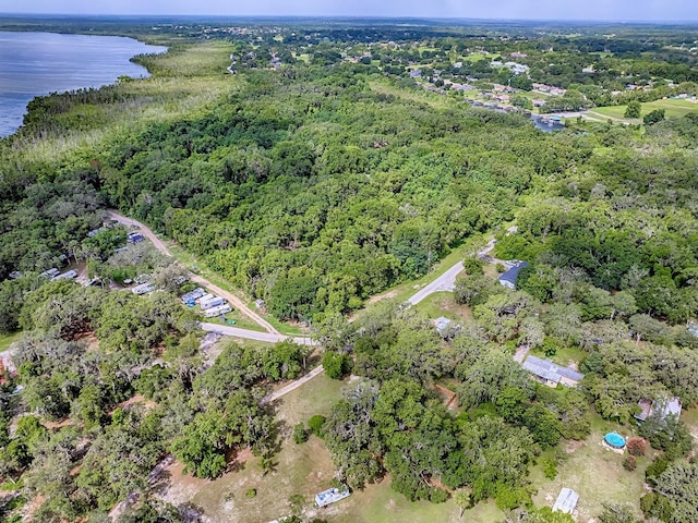 6731 Lake Griffin Rd, Lady Lake, FL 32159 - aerial view of property and surrounding area with a large body of water and a forest