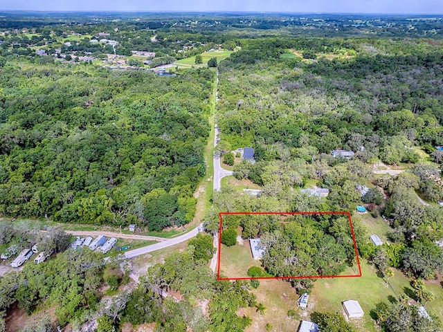6731 Lake Griffin Rd, Lady Lake, FL 32159 - aerial overview of property's location with a forest and property parcel outlined