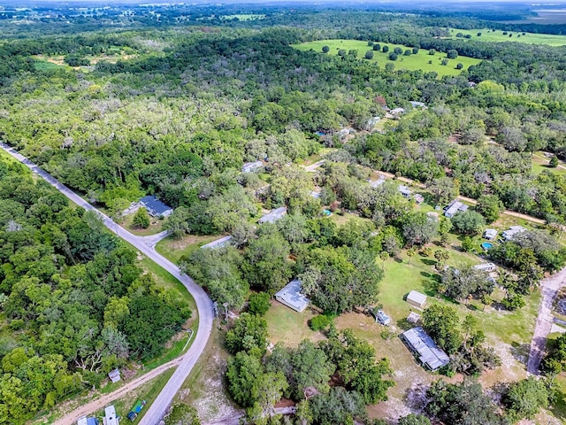 6731 Lake Griffin Rd, Lady Lake, FL 32159 - view of property location featuring a heavily wooded area