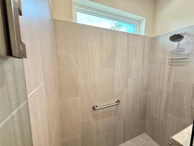 3607 Umbrella Tree Ln, Oxford, FL 34484 - full bath featuring a tile shower