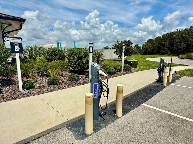 3607 Umbrella Tree Ln, Oxford, FL 34484 - surrounding community