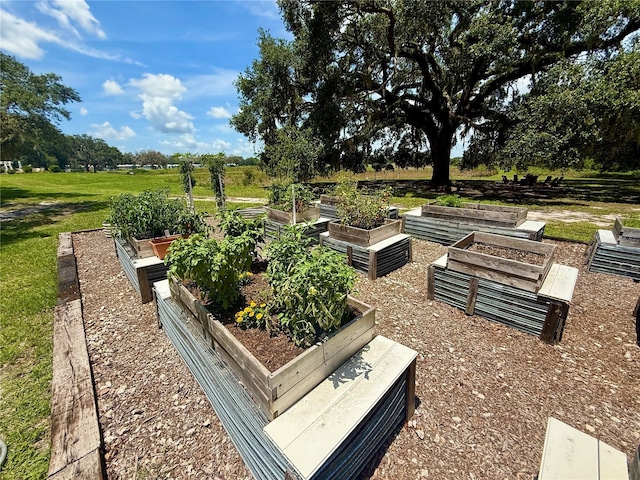 3607 Umbrella Tree Ln, Oxford, FL 34484 - view of yard with a vegetable garden