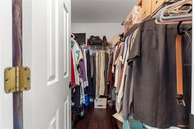 9790 SE 175th St, Summerfield, FL 34491 - walk in closet featuring wood finished floors