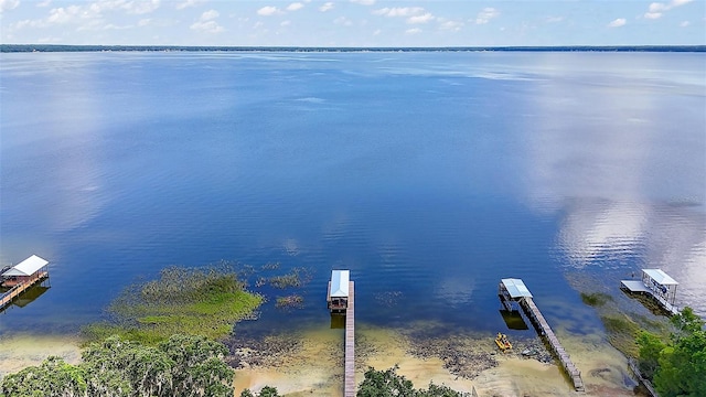 13033 SE 158th Ln, Weirsdale, FL 32195 - bird's eye view of a nearby body of water