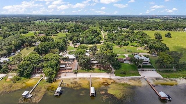 13033 SE 158th Ln, Weirsdale, FL 32195 - bird's eye view of a large body of water and a forest