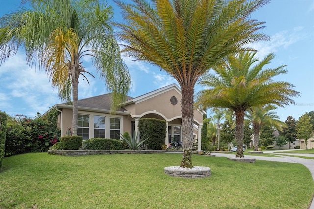 4018 Chandler Estates Dr, Apopka, FL 32712 - view of front of house with stucco siding and a front lawn