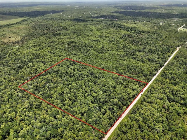 Maggie Jones Rd, Paisley, FL 32767 - photo 1