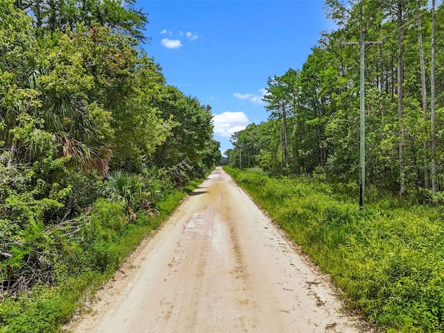 Maggie Jones Rd, Paisley, FL 32767 - photo 2