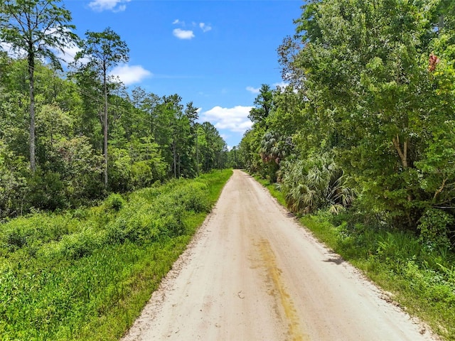 Maggie Jones Rd, Paisley, FL 32767 - photo 3
