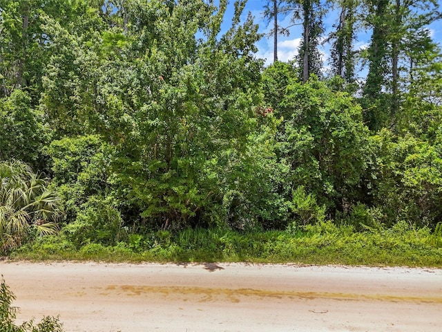 Maggie Jones Rd, Paisley, FL 32767 - photo 4