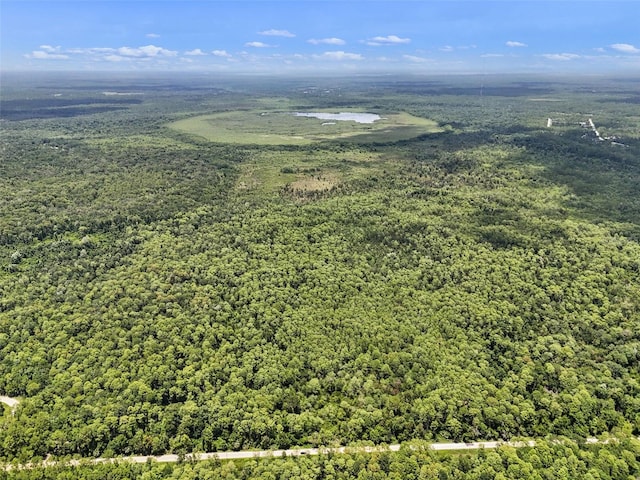Maggie Jones Rd, Paisley, FL 32767 - photo 5