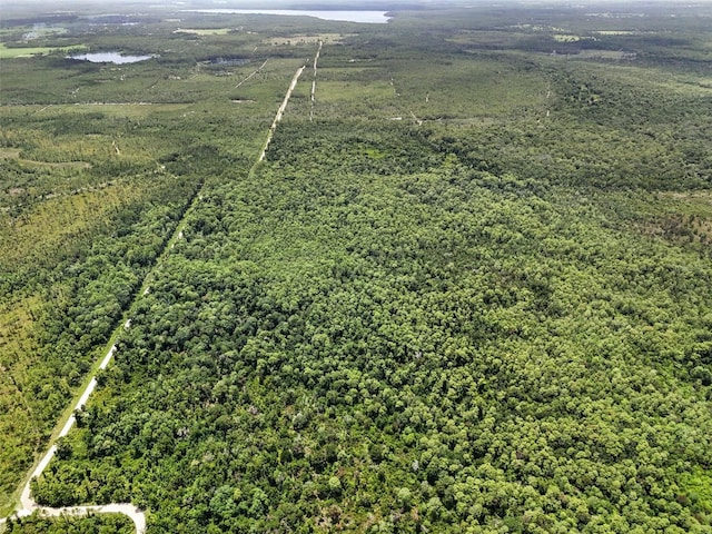 Maggie Jones Rd, Paisley, FL 32767 - photo 6